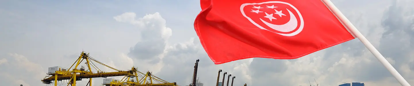Singapore Registry of Ships