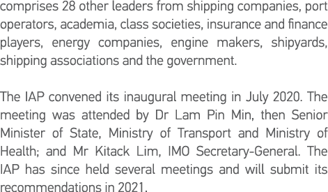 comprises 28 other leaders from shipping companies, port operators, academia, class societies, insurance and finance    