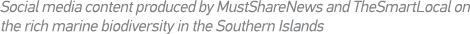 Social media content produced by MustShareNews and TheSmartLocal on the rich marine biodiversity in the Southern Islands