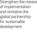 Strengthen the means of implementation and revitalize the global partnership for sustainable development