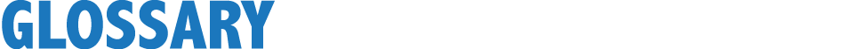 Glossary