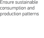 Ensure sustainable consumption and production patterns 