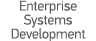 Enterprise Systems Development