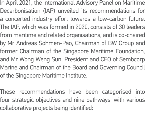 In April 2021, the International Advisory Panel on Maritime Decarbonisation (IAP) unveiled its recommendations for a    