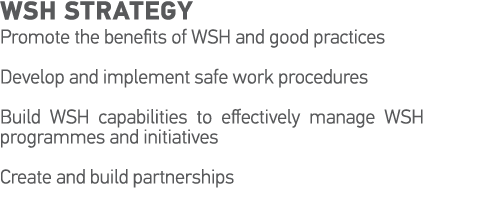 WSH Strategy Promote the benefits of WSH and good practices Develop and implement safe work procedures Build WSH capa   