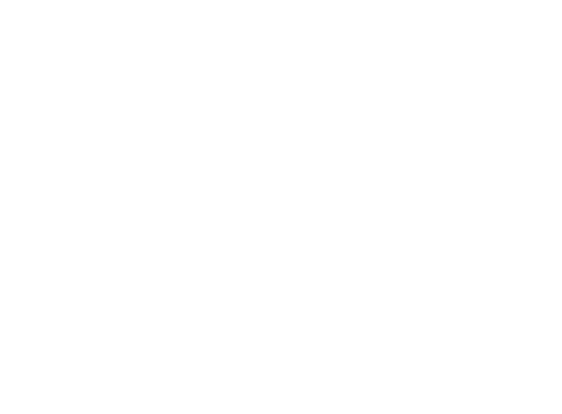 ENHANCING THE VIBRANCY OF THE MARITIME SECTOR