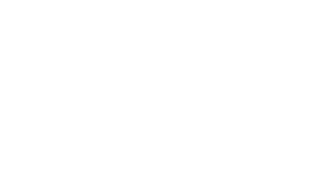 FORGING COLLABORATIONS AND STRENGTHENING PARTNERSHIPS 