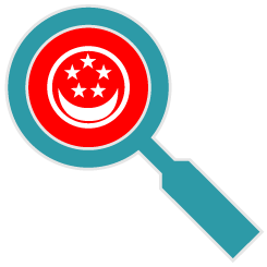 Flag State inspections